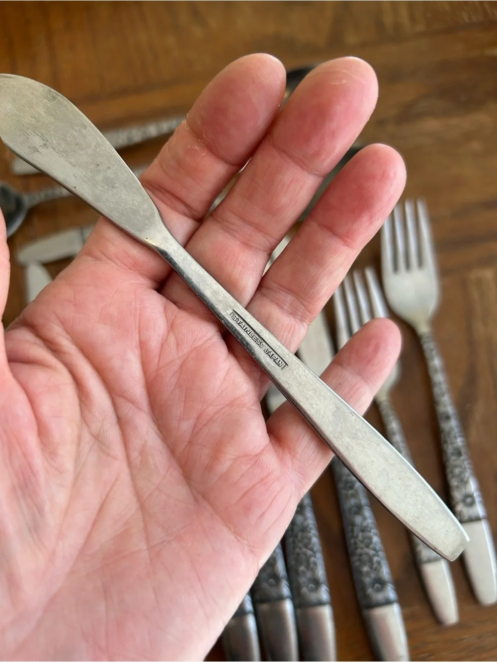 Hanford Forge SPRING LAKE Floral Stainless Japan flatware cutlery x14 pieces